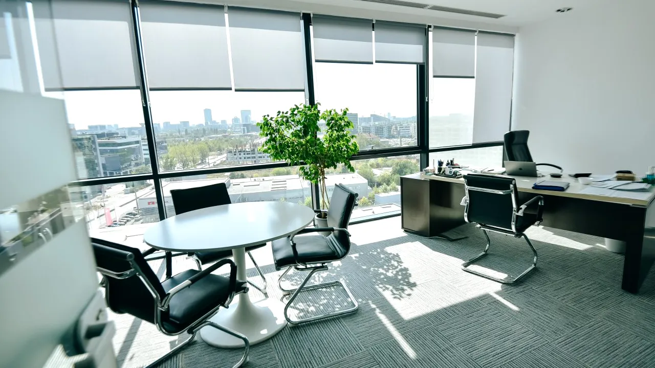 Beneficiile aduse de plante în spațiul de lucru (P)