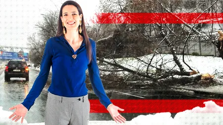 Prima ninsoare, primii copaci căzuți în Sectorul 1 | Clotilde Armand, o gestionare defectuoasă care poate duce la accidente grave