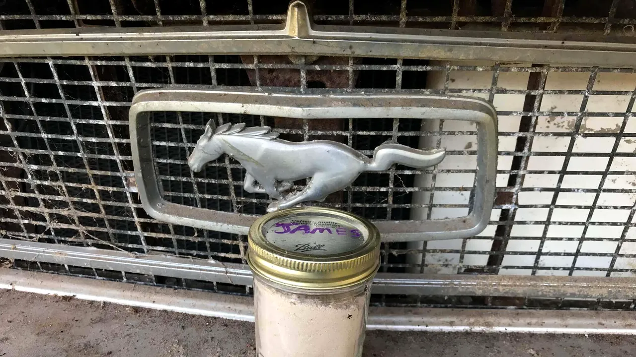 Și-a cumpărat un Mustang din anii '68, dar nu știa că vine la pachet cu proprietarul. Gestul impresionant al cumpărătorului - FOTO 