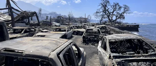 55 persoane au murit în incendiul de vegetație din Maui, Hawaii. Oamenii au sărit în apă să se salveze