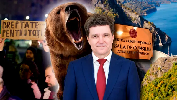 ONG-urile și „activistul” Nicușor Dan pierd pe bandă rulantă la CCR. După respingerea recursului la legea privind combaterea înmulțirii necontrolate a ursului brun, Curtea dă undă verde legii hidrocentralelor
