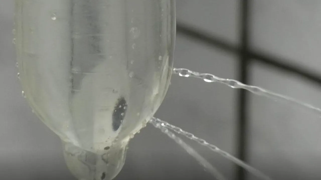 VIDEO. Surpriza din prezervativele de la Cluj. Autoritățile au dat alarma