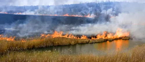 Incendiile de vegetație: de la cauze la posibile soluții