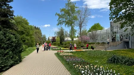 Spectacolul naturii la Grădina Botanică din Iași. Au înflorit lalelele, narcisele și cireșii