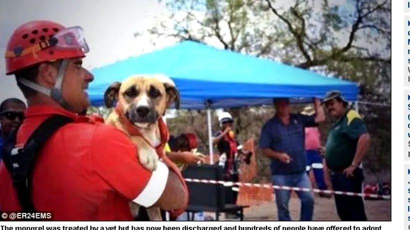 VIDEO: Operațiunea de salvare a câinelui ajuns pe fundul celei mai mari mine de diamant din lume