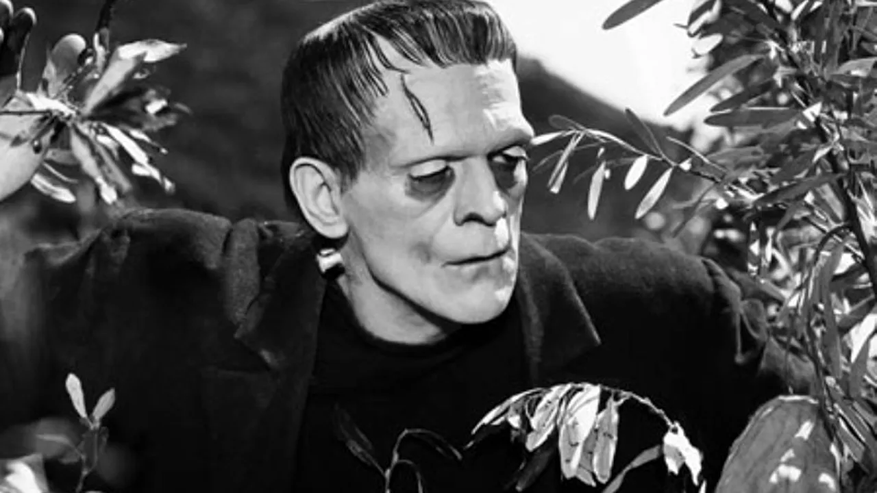 Hitler și Frankenstein, candidați la alegerile locale din India