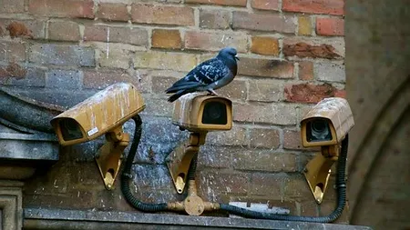 Primăria Bacău va cumpăra 300 de camere video pentru a verifica modul în care aruncă cetățenii gunoiul