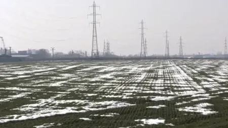 GERUL recent a creat mari probleme fermierilor din sudul țării. Mai multe suprafețe semănate în județul Olt au fost afectate, unele fiind distruse