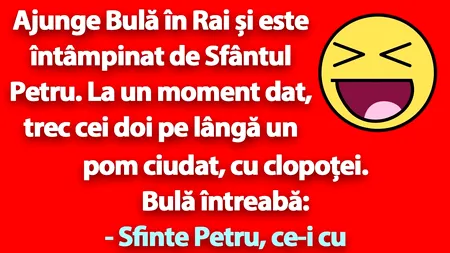 BANC | Bulă, Sfântul Petru și „pomul minciunilor”