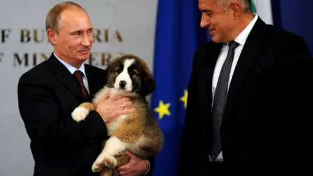 Bucuria Kremlinului, bucurie și la Sofia. Anunț despre ciobănescul primit de Vladimir Putin de la fostul premier bulgar