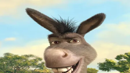 Ludovic Orban, privind „adânc în sufletul său