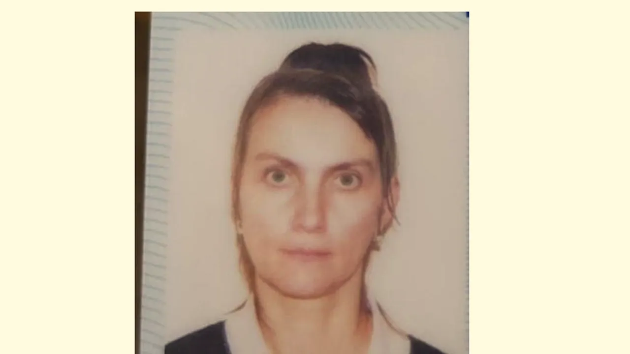 Alertă în Brașov: Polițiștii caută o femeie și pe fiul acesteia în vârstă de 3 ani, după ce s-au rătăcit în pădure