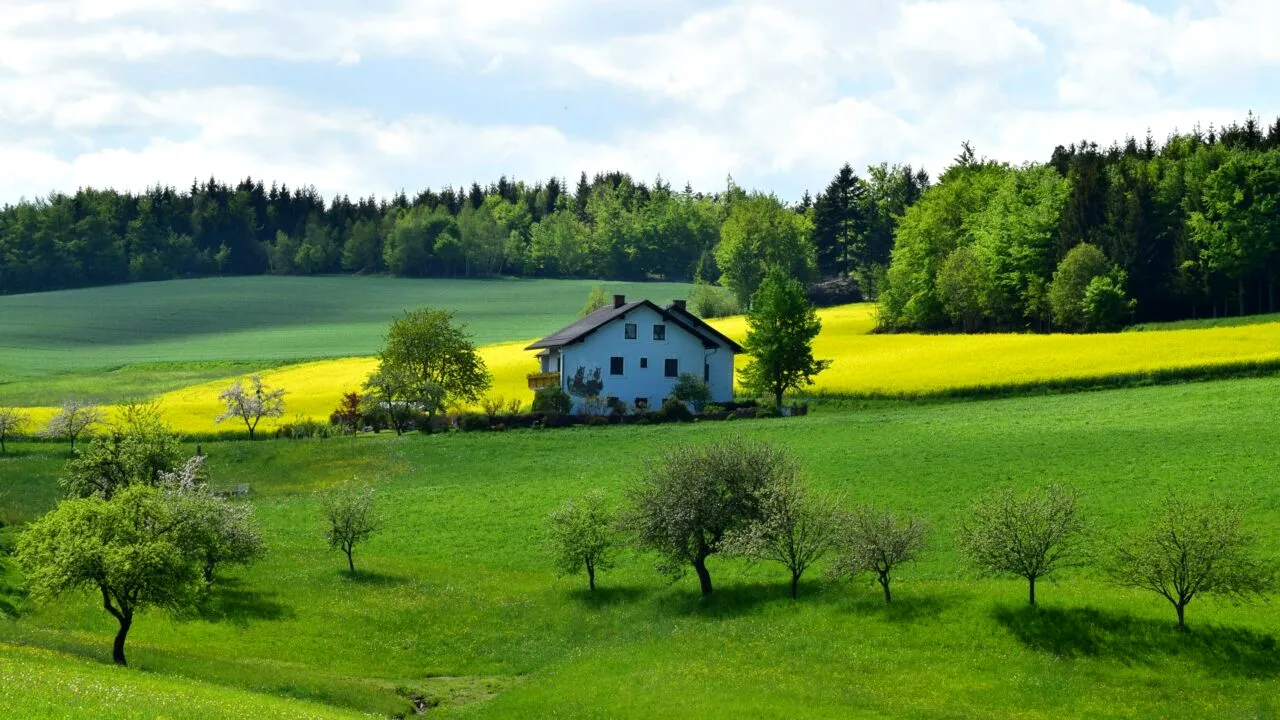 Primești 2.000 de lei de la stat dacă vei crește acest animal! Are carnea mai BUNĂ decât cea de somon