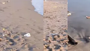 Turistă româncă, dezamăgită total de vacanța în BALI: „Cu jegul omniprezent, pe fiecare cm pătrat”