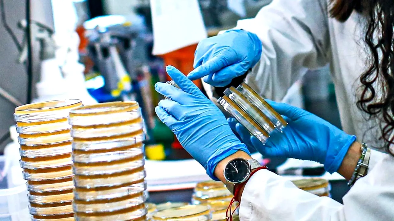 Cum faci diferența între o simplă răceală și infecția cu coronavirus. Fii atent la aceste simptome!