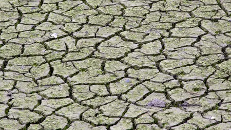 Prima țară din lume afectată de foamete ca urmare a schimbărilor climatice. Locuitorii, nevoiți să mănânce lăcuste pentru a supraviețui