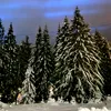 FOTO | Fenomen extrem de rar! Aurora boreală albastră, vizibilă în România