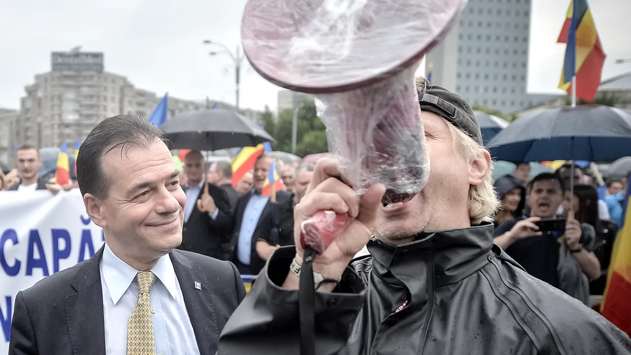 Ludovic, Șerban și Gigi - bărbați în stambă