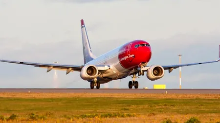 „SOS! Piloții au găsit un șoarece în carlingă