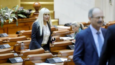 Elena Udrea poate fi urmărită penal: „Este ceva între la revedere și o slujbă de veșnică pomenire