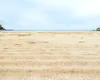 Plaja NATURALĂ din nord-estul României care atrage mii de turiști. Are nisip fin, iar prețurile sunt mai mici decât la malul mării