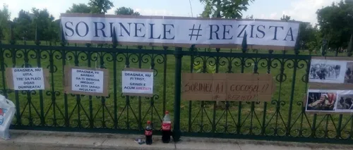 Cum a ajuns mesajul #rezist, din Piața Victoriei, să fie folosit pentru susținerea lui Grindeanu la Parlament