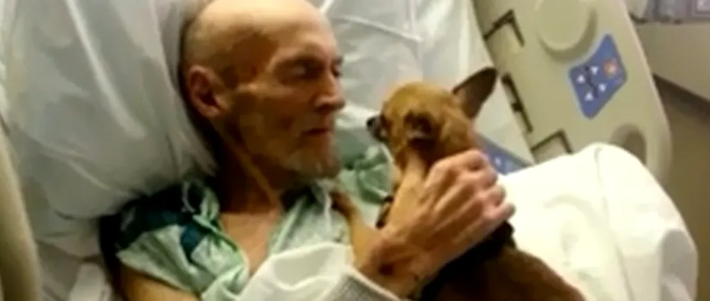 Ce s-a întâmplat cu un bătrân aflat pe patul de spital, după ce și-a văzut câinele. Nimeni nu s-a putut abține să nu plângă