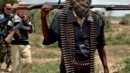 Atac sinucigaș în Camerun, soldat cu cel puțin 25 de morți