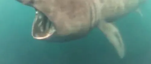 Ce a filmat un britanic în timp ce înota. Clipul a adunat peste 17.000 de vizualizări. VIDEO