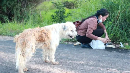 Hachiko, dar cu final fericit: Un câine și-a așteptat cu loialitate timp 4 ani stăpânul iar revederea a fost una neașteptată și emoționantă - VIDEO 