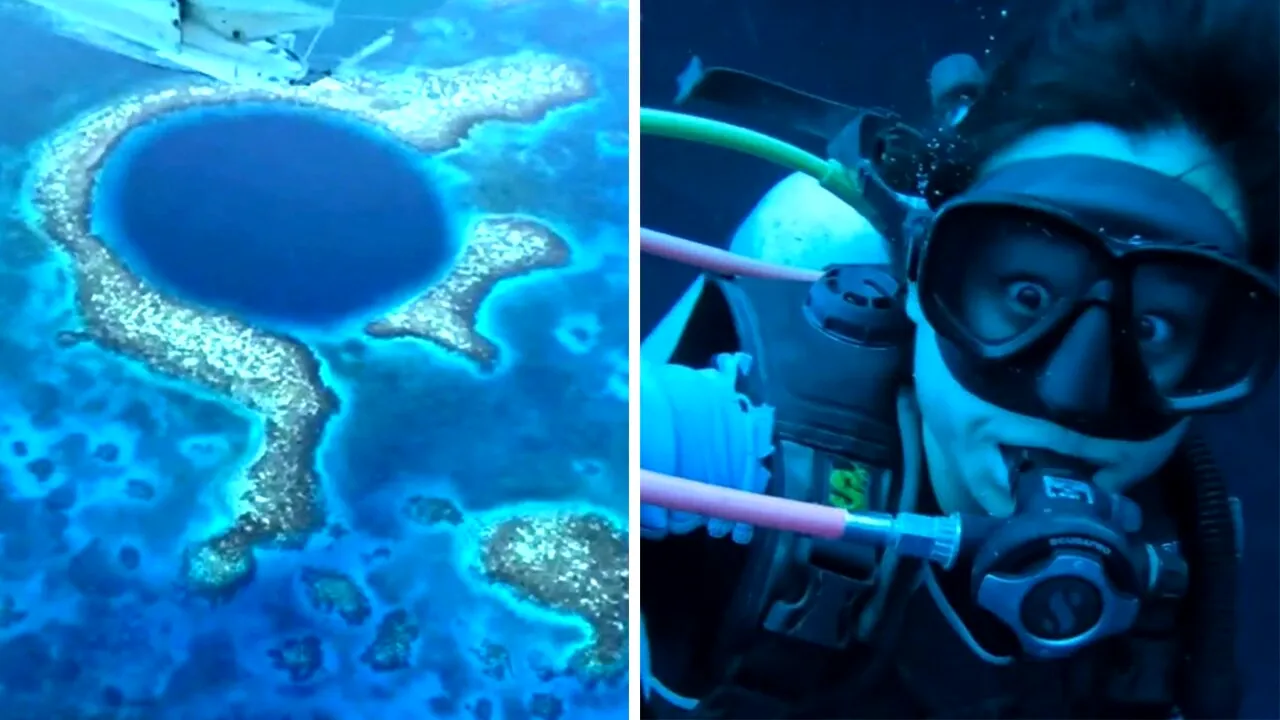 Descoperire IREALĂ la 120 de metri adâncime. Ce a găsit o scafandră în „Marea Gaură Albastră” din Belize