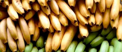 DIETĂ EXTREMĂ. Cum arată tânăra care mănâncă 51 de banane în fiecare zi