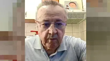 Ion Cristoiu: Nicușor Dan în Austria: Vizită oficială sau EXCURSIE familială?!