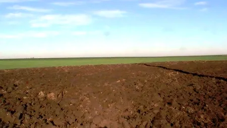 Corpul de Control anunță că va sesiza Parchetul ICCJ în cazul terenurilor din comuna Nana