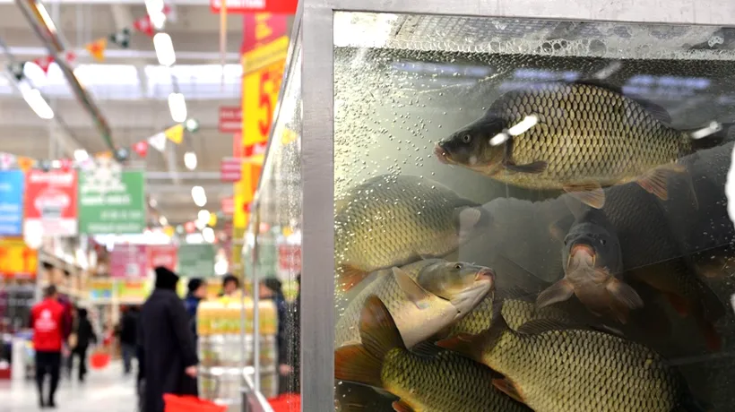Ce nu îți spune nimeni despre peștele pe care îl găsești la vânzare în România