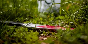 Un minor de 15 ani a fost ÎNJUNGHIAT mortal de fostul iubit al mamei sale. A apărat-o până în ultima clipă chiar cu prețul vieții