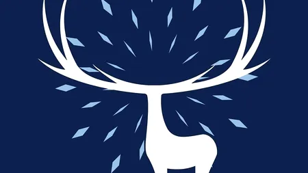 Cerbul de Aur 2019 | Big Band-ul Radio România și instrumentiștii Operei din Brașov, pe scena festivalului 