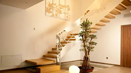 11 lucruri pe care nu le știai despre Feng Shui