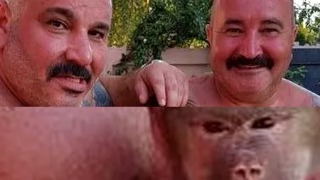 Operațiunea „Maimuța