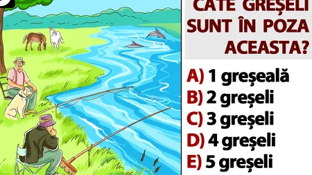 Testul IQ la care 4 din 5 greșesc | Câte greșeli vezi în poza aceasta?