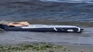 O nouă dronă și-a făcut apariția pe litoralul românesc. Ce au găsit geniștii pe plajă la Capu Midia