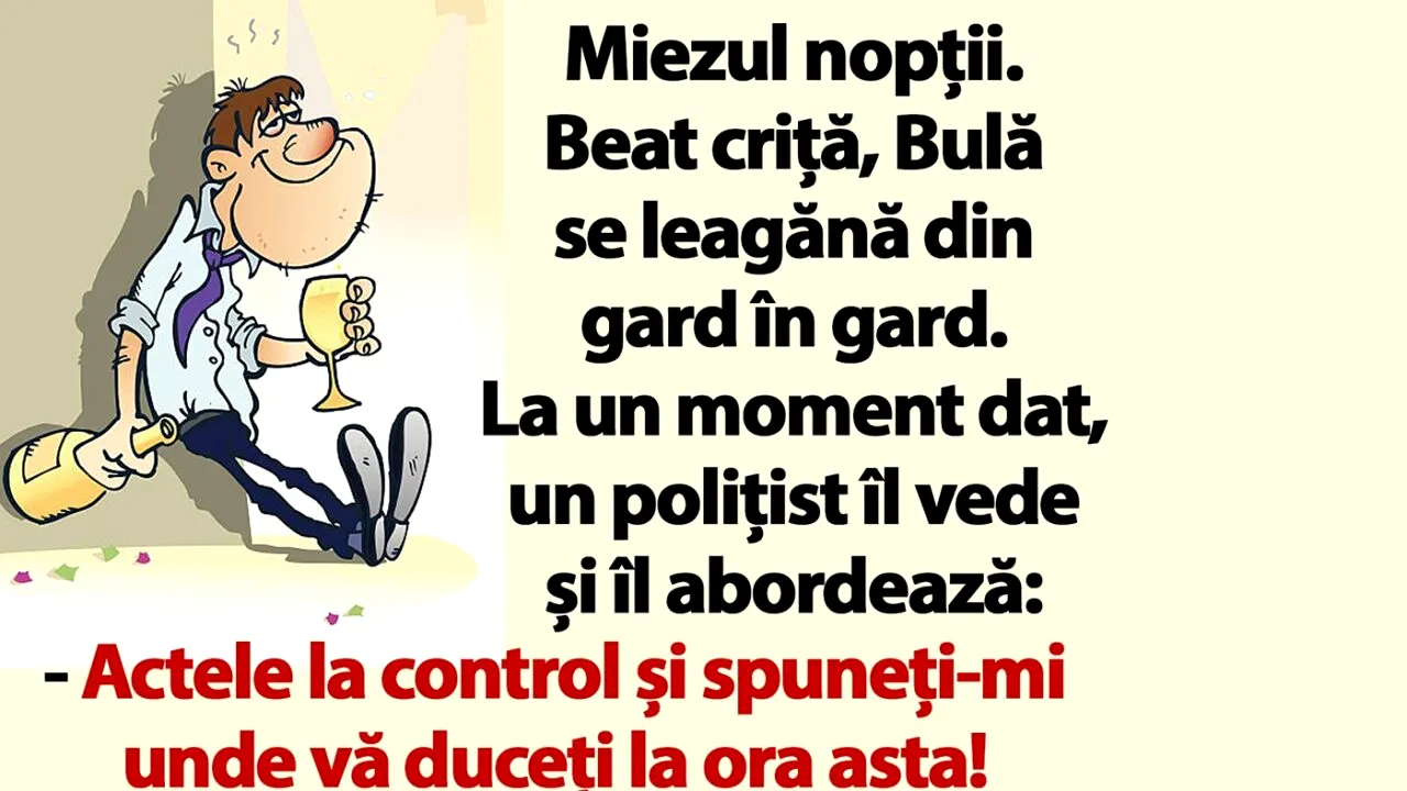BANC | Miezul nopții. Beat criță, Bulă se leagănă din gard în gard