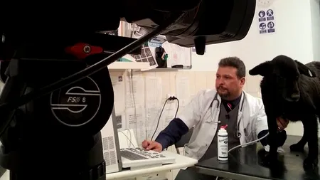 Medicul care ajunge, la propriu, la inima animalelor. Florin Leca: „Dacă îl vezi pe unul sub o mașină, întins pe jos, făcând respirație gură la gură unui câine comunitar, lucrul ăsta ar trebui să dea de gândit societații în general