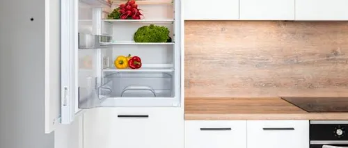 (P) Care sunt diferențele dintre un frigider și o combină frigorifică - Top 5 caracteristici distincte