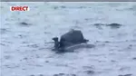 O dronă a fost doborâtă în spațiul aerian al României