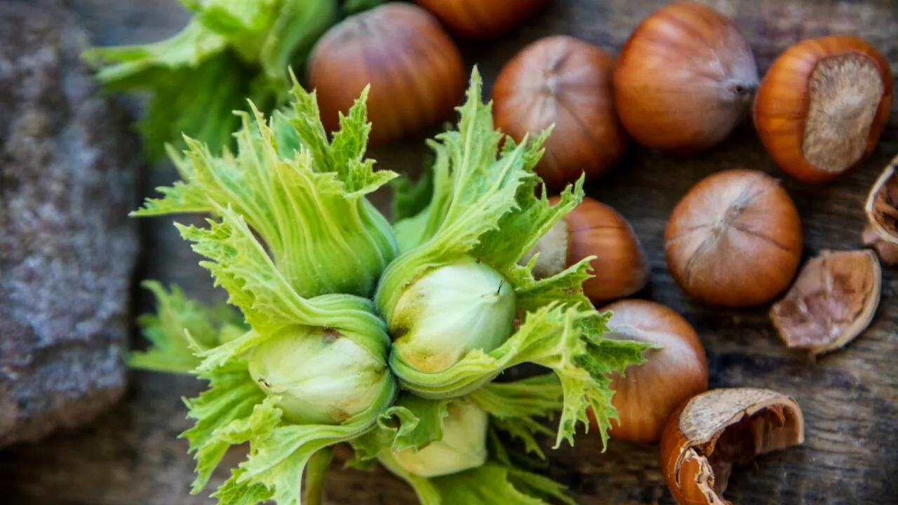 AFACEREA care i-a adus unui român 70.000 de euro, pe timp de secetă