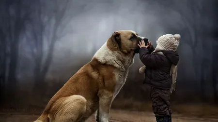 Această femeie a devenit celebră cu fotografiile copiilor ei. Cum poți fi ca ea?