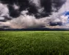 ANM a emis cod galben de averse și vânt în 8 județe/Prognoză specială pentru București: când scăpăm de vremea instabilă