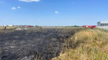 UPDATE: FOTO-VIDEO: Un nou incendiu la marginea Capitalei. Au ars 20 de hectare de vegetație uscată. Circulația mai multor trenuri, afectată