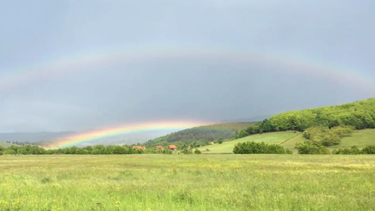 Sărbătoriții zilei, asaltați pe Facebook de urările politicienilor. Fotografia postată de Elena Udrea